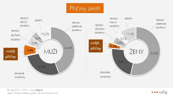 Příčiny úmrtí v ČR za rok 2012